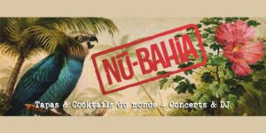 nubahi3 300x151