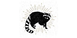 racoon main 300x151
