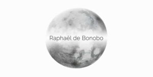 raphael bonobo 300x151