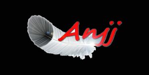 Anjj 300x151