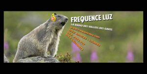 Frequence Luz 300x151