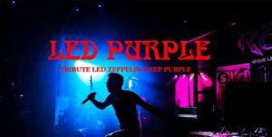 Led purple1 300x151