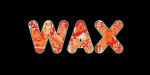 WAX LOGO 1 300x151