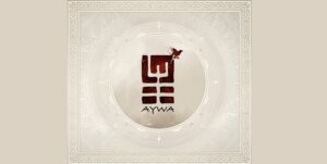 aywa2 300x151