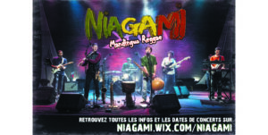niagame 300x151