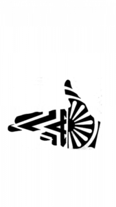y2ls 169x300