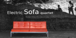 electric sofa zam 300x151