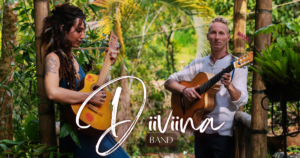 Portfolio Diiviina Facebook Post 300x158